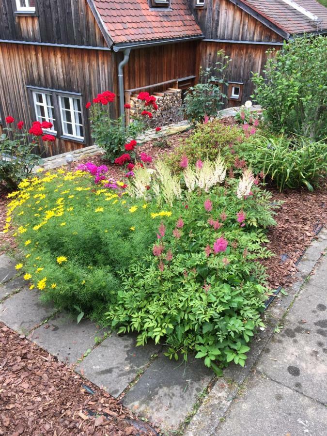Haus Bergfriede Hotel Bad Schandau Kültér fotó